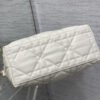 Medium DiorTravel Nomad Clutch