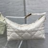 Medium DiorTravel Nomad Clutch