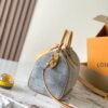 LOUIS VUITTON Speedy 25 Bandoulière N40700