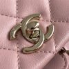Chanel 24P duma cowhide Large backpack